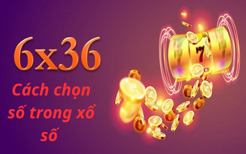 Hướng dẫn cách chọn số trong xổ số online tăng cơ hội thắng