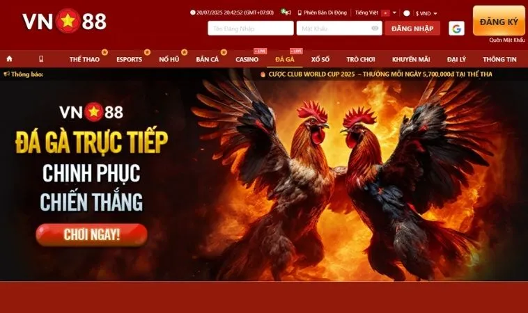 Sảnh đá gà VN88 thiết kế giao diện đẹp, nổi bật